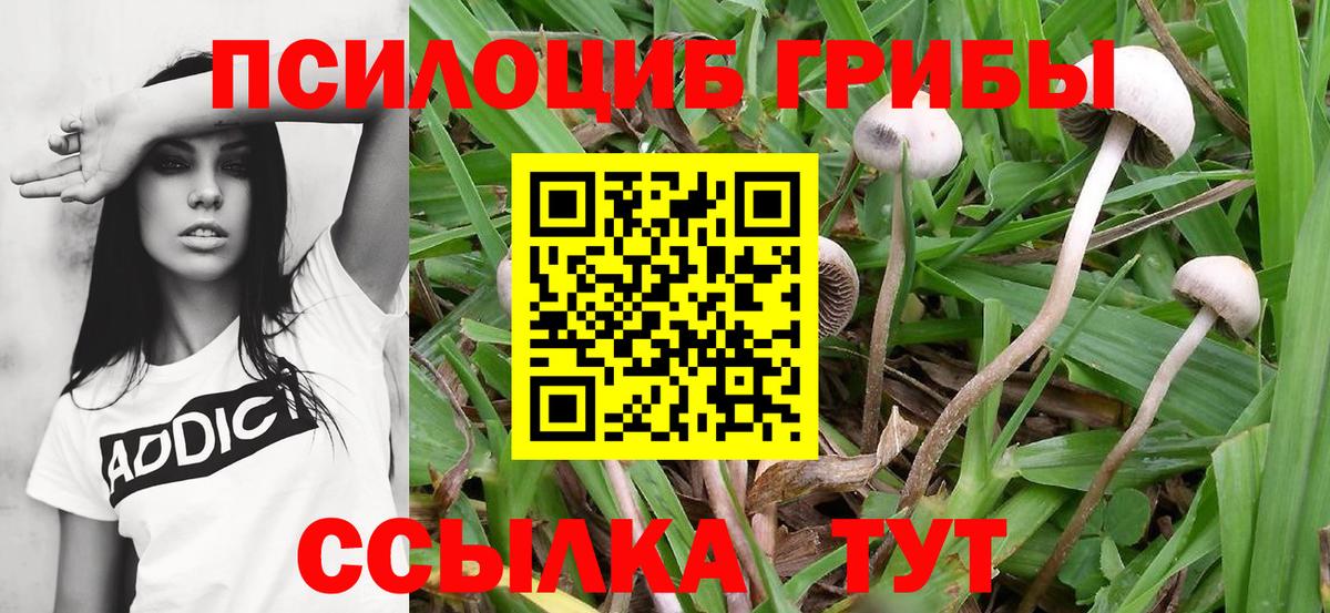 Галлюциногенные грибы мухоморы Черемхово