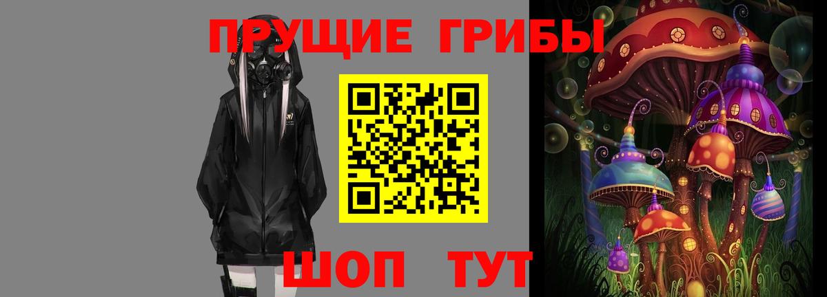 Псилоцибиновые грибы Cubensis  закладки  Черемхово  Вход с VPN 